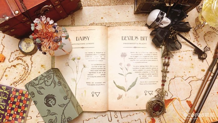 《哈利·波特》系列中的神秘植物考(四)(D系列) 《哈利·波特》系列中的神秘植物考(四)(D系列)