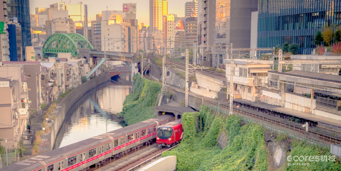 《铃芽之旅》剧情与民俗深度解读 《铃芽之旅》剧情与民俗深度解读