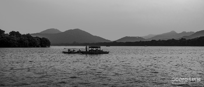 摄影分享丨这一年 摄影分享丨这一年