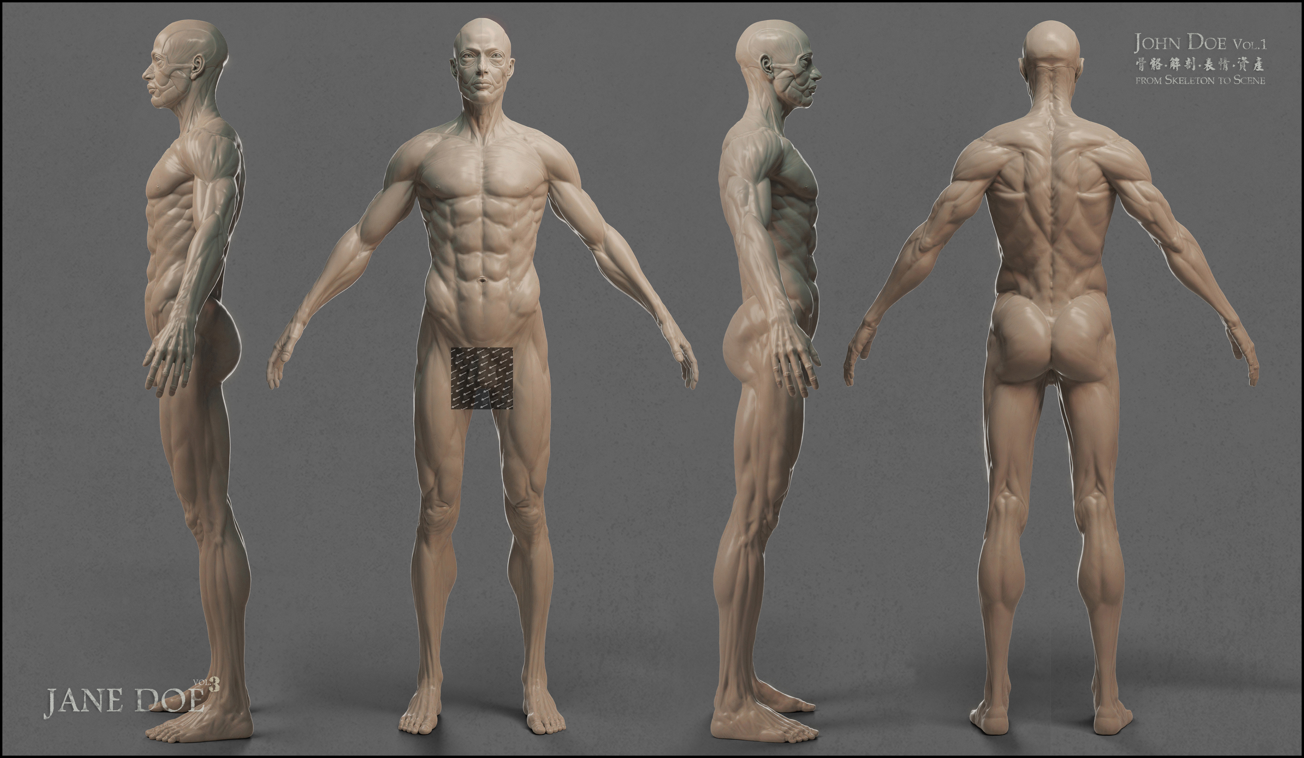 男性人體模型-01