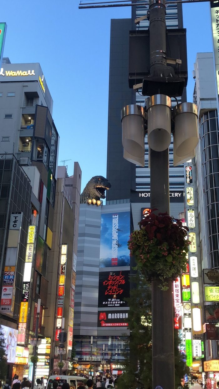 从玩胶到做胶(二十五):闲篇日本游记(1) 从玩胶到做胶(二十五):闲篇日本游记(1)