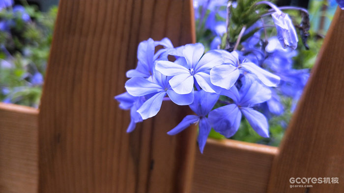 去阳朔玩的一些照片 去阳朔玩的一些照片