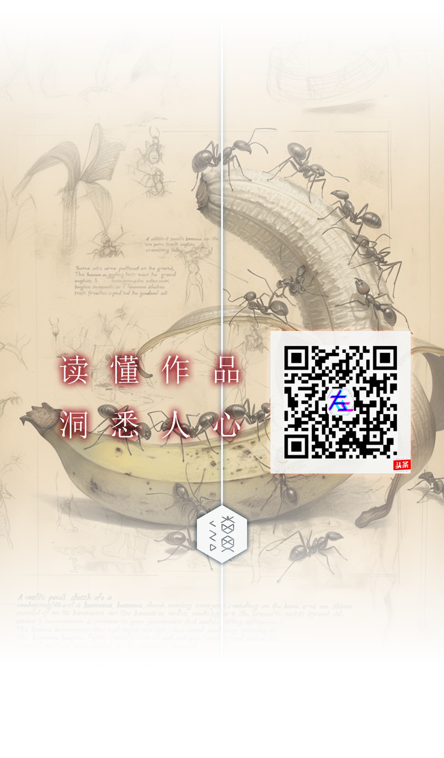 头条号（聚焦身边经济学）