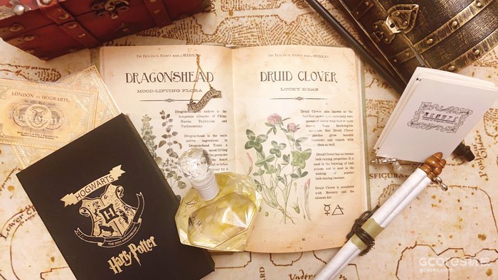 《哈利·波特》系列中的神秘植物考(四)(D系列) 《哈利·波特》系列中的神秘植物考(四)(D系列)