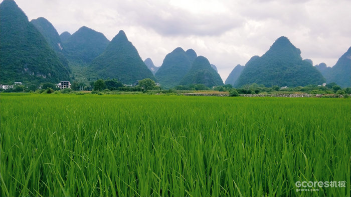 去阳朔玩的一些照片 去阳朔玩的一些照片