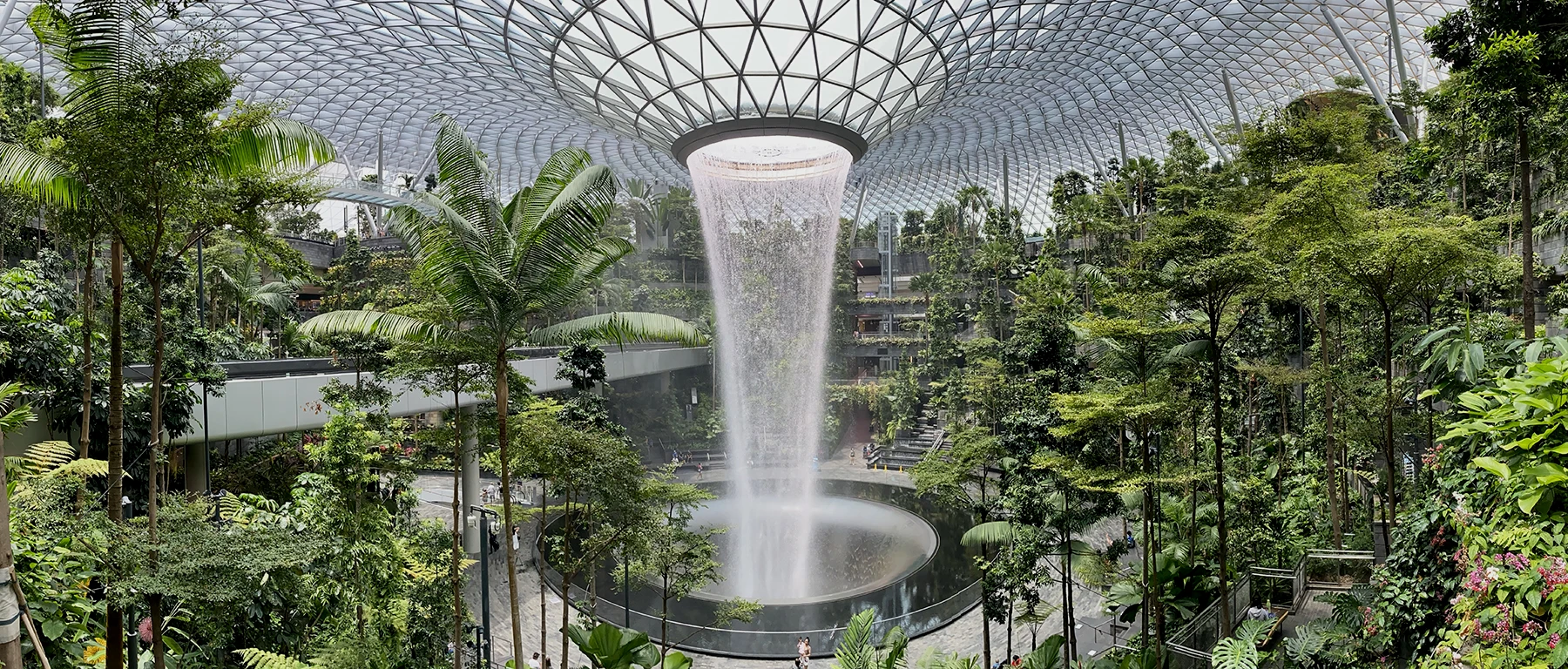 刚才有提到云雾林是世界第二大的室内瀑布。世界第一大的世界瀑布也在新加坡，位于新加坡樟宜机场的汇丰银行雨漩涡(HSBC Rain Vortex)。