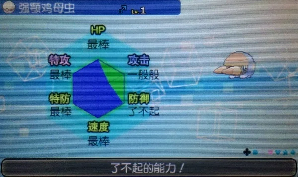 保守觉冰强颚鸡母虫