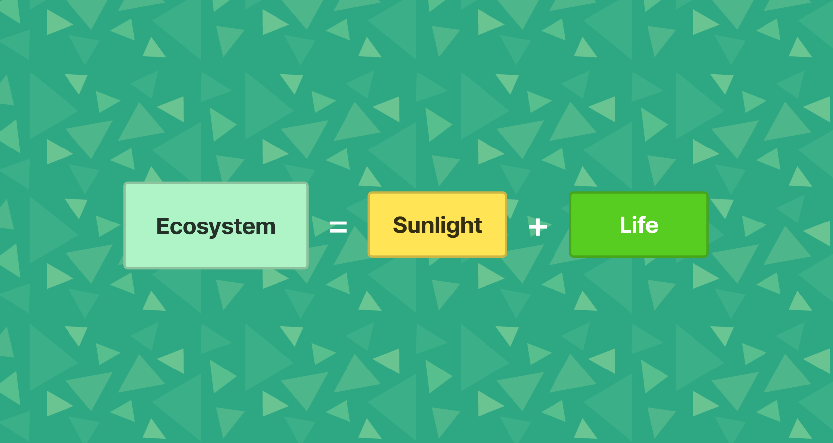 bio-side equation