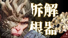 晓栏目
