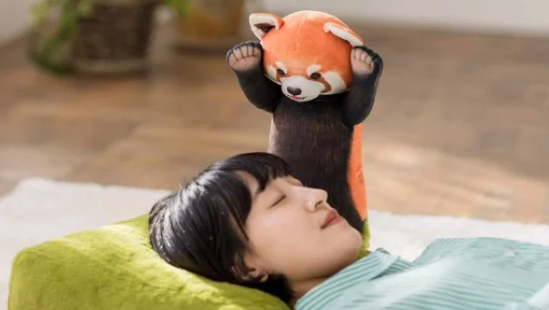 来自小熊猫的威吓！芬理希梦推出小熊猫靠枕组合