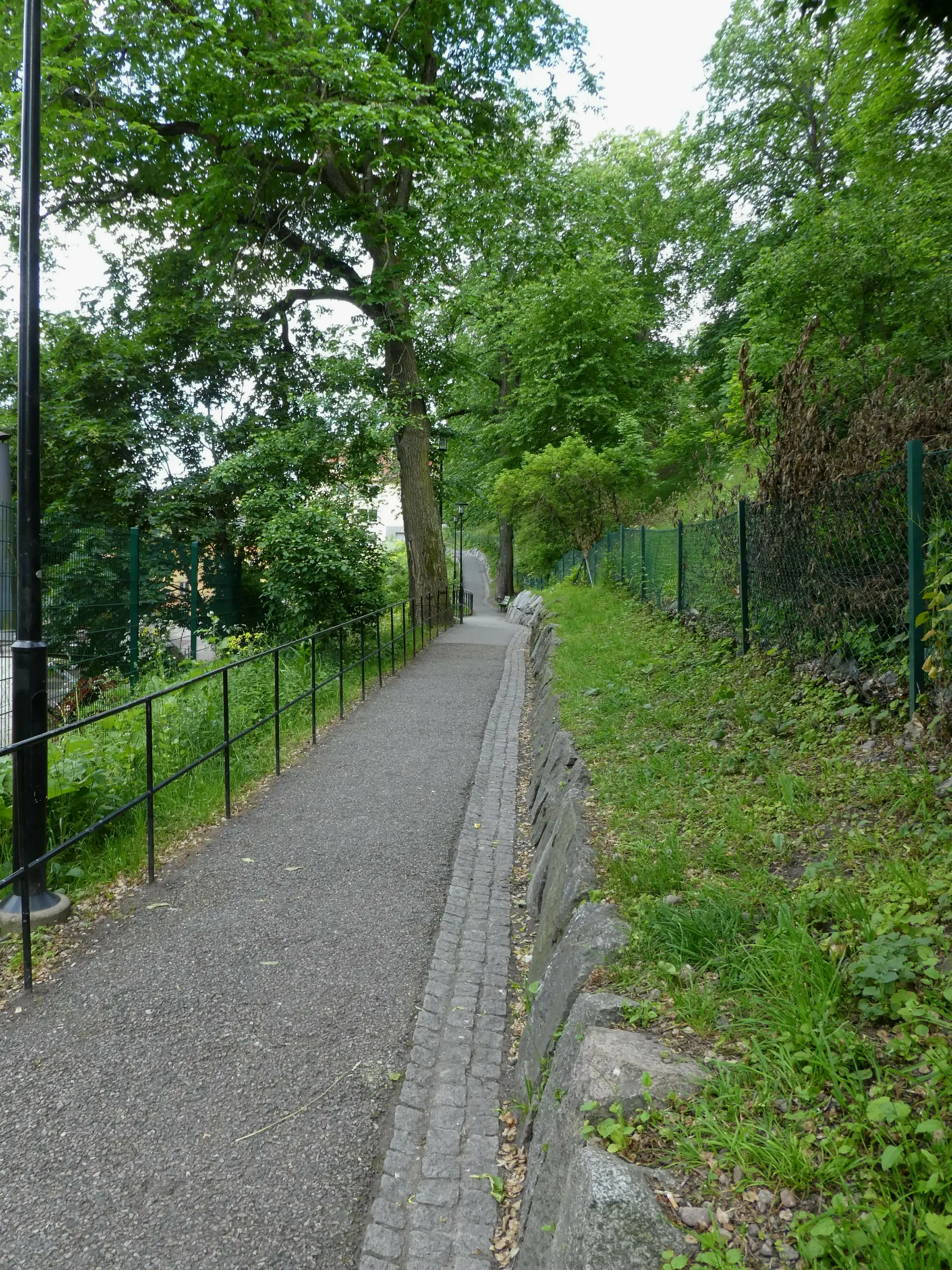 公园附近的那条小路