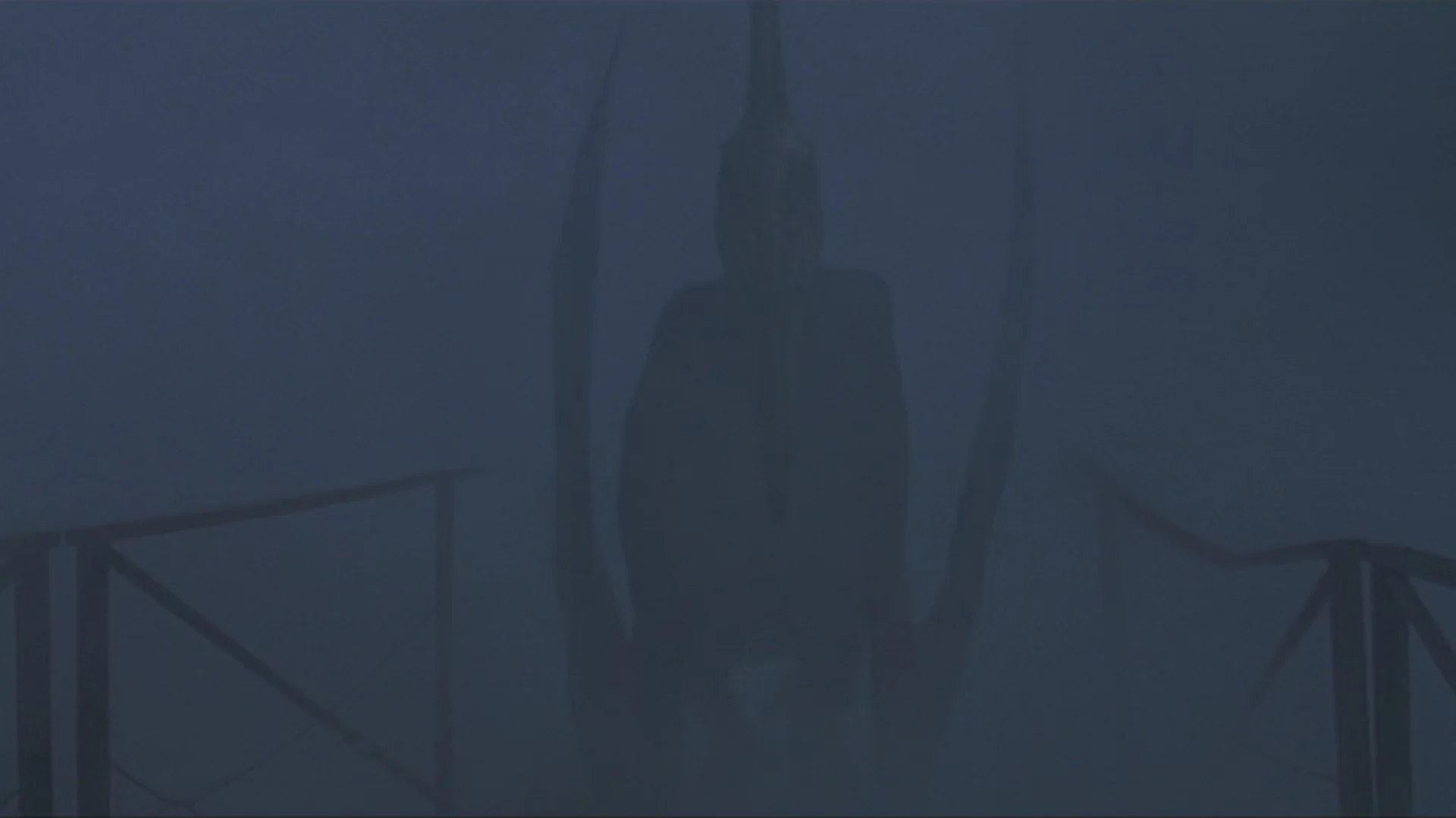 从雾气中浮现的无齿翼龙，当时这一幕也把我吓得够呛