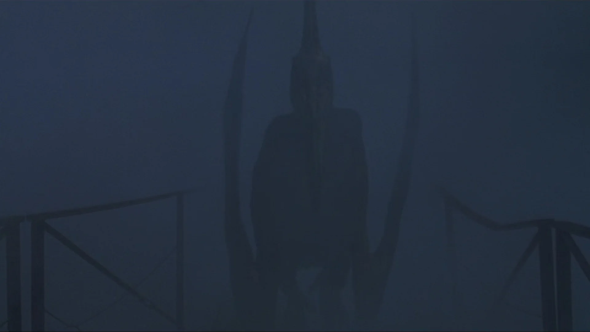 从雾气中浮现的无齿翼龙，当时这一幕也把我吓得够呛