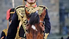 约翰·蒂勒的拿破仑战争系列:在兵棋游戏中重现恢弘的拿破仑战争