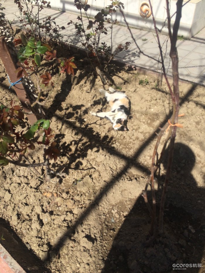 摄影分享丨巴库 摄影分享丨巴库