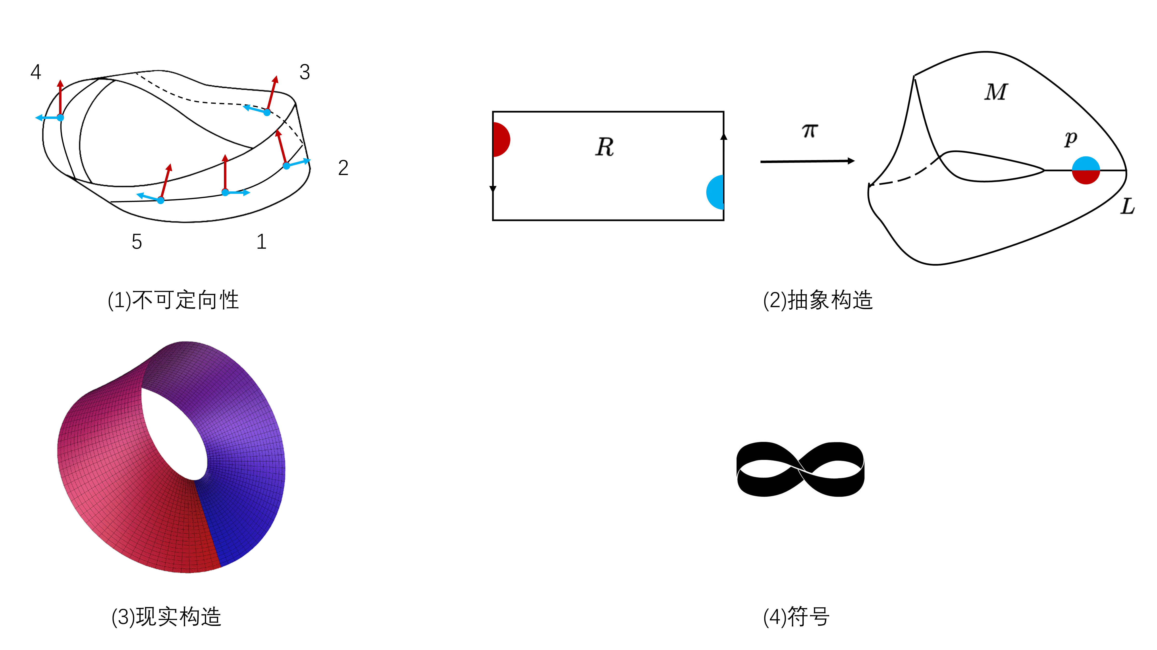 图1-2 从四个方面认识莫比乌斯带 在拓扑学上，（1）莫比乌斯带是最简单的不可定向曲面，即在各点附近选定切向量和法向量，使其绕曲面运行一周，而无法得到原来的一组向量[8]14-15；（2）莫比乌斯带M可通过长方形R，给定划分，使得铅直边对应点和非铅直边单点各自构成等价类，最后通过商映射π构造[8]54-55。（3）莫比乌斯带使得原先涂成红色的A面和涂成蓝色的B面最终相遇。（4）莫比乌斯带抽象为了表示无穷大的数学符号