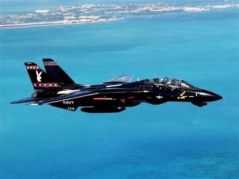 F-14与花花公子进行联动