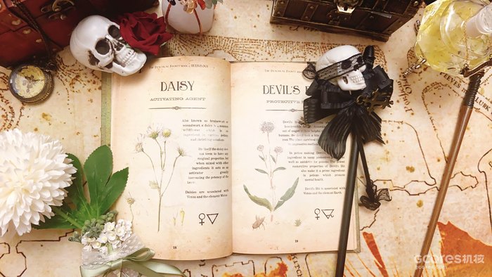 《哈利·波特》系列中的神秘植物考(四)(D系列) 《哈利·波特》系列中的神秘植物考(四)(D系列)