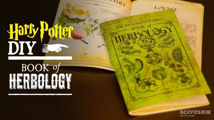 《哈利·波特》系列中的神秘植物考（三） 2%title%