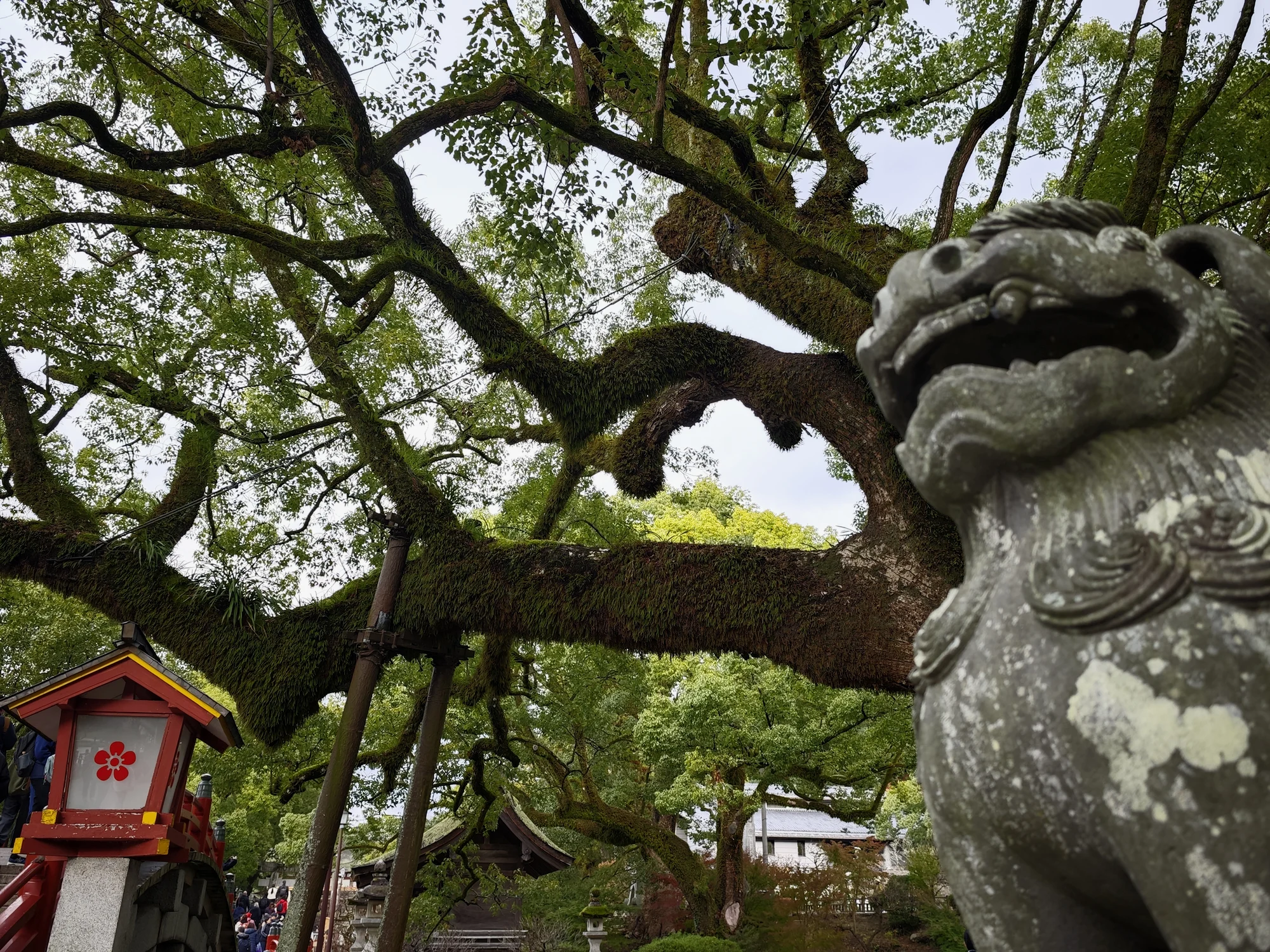 神社区域景色1