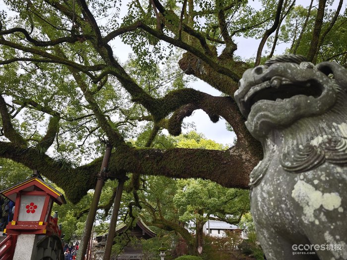 神社区域景色1