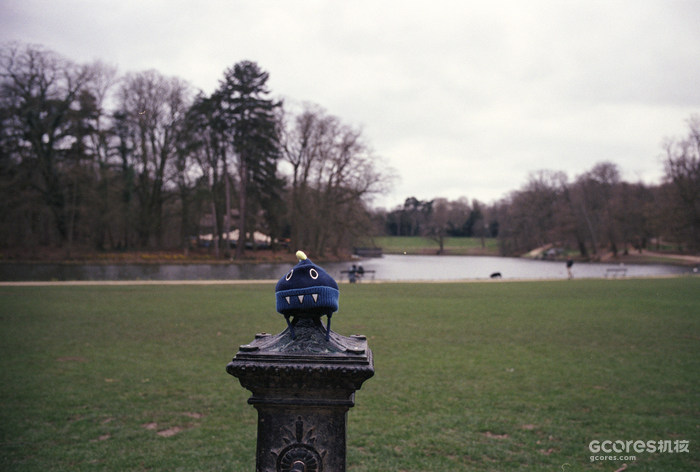 摄影分享丨一卷平平无奇的胶片 摄影分享丨一卷平平无奇的胶片