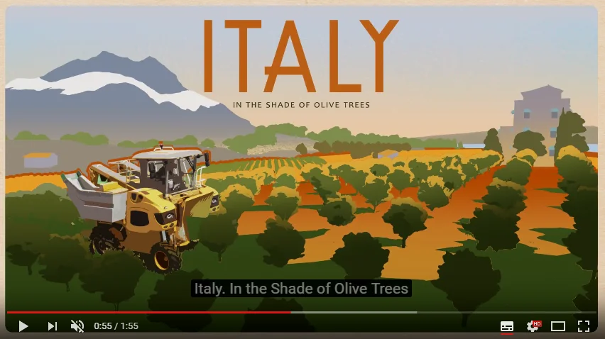 在意大利种橄榄