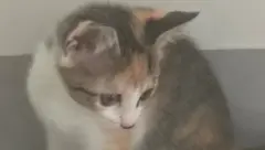 人心隔肚皮