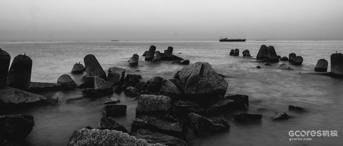 摄影分享丨这一年 摄影分享丨这一年