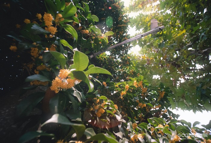 摄影分享丨这一年 摄影分享丨这一年