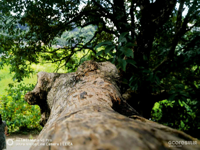 去阳朔玩的一些照片 去阳朔玩的一些照片