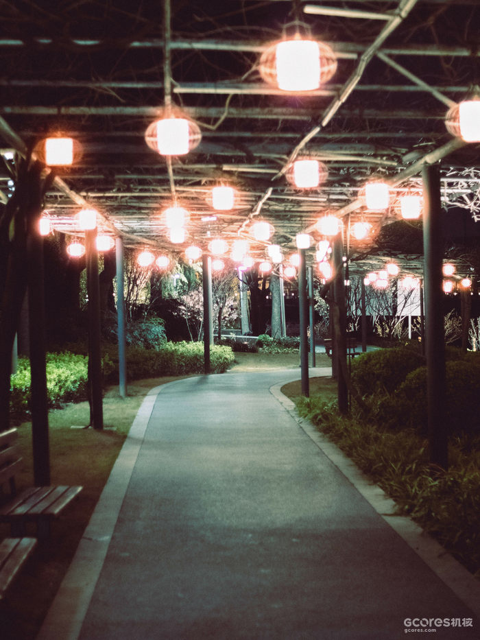 摄影分享丨这一年 摄影分享丨这一年