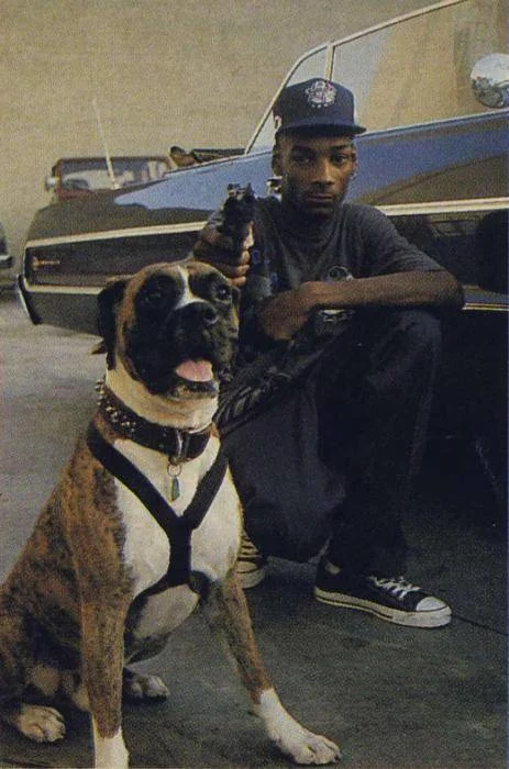 Thug Life，直译为“暴徒生活”，是随着匪帮音乐、侠盗猎车等美国黑帮文化产品在互联网上兴起的一道流行浪潮。在装饰上表现为墨镜、香烟、大金链、棒球帽，，这是匪帮风格的HIPHOP说唱歌手（Gansta HIPHOP）最喜欢的打扮风格。
