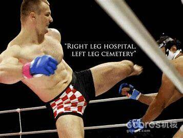 PRIDE FC 简史 pt.2 PRIDE FC 简史 pt.2