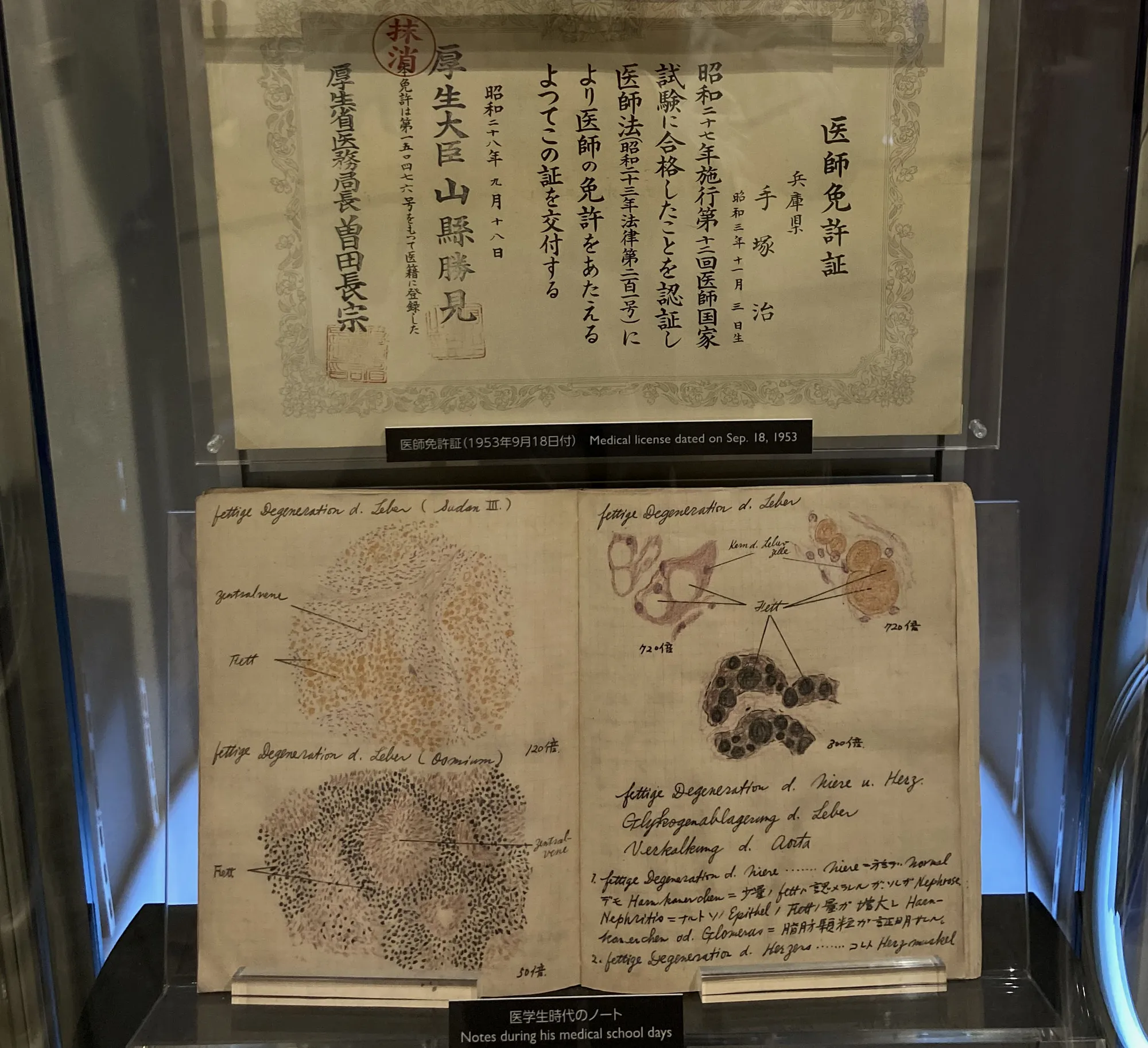 从医许可证和医学笔记