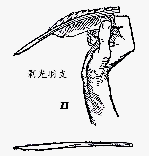 羽毛笔处理