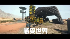 鸽子杂谈