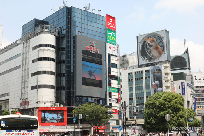 摄影丨东京印象 摄影丨东京印象