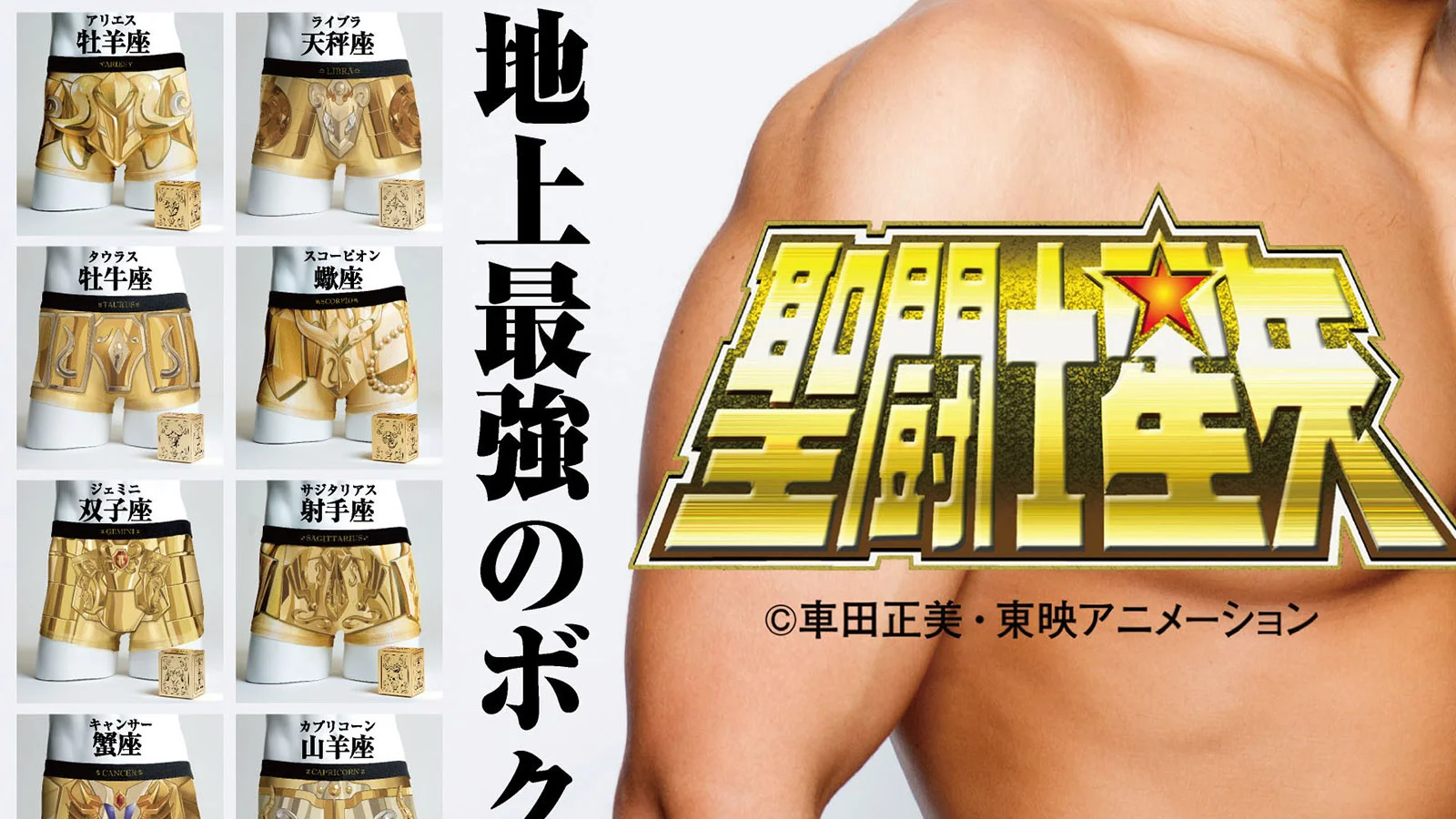 【胖次】来看看这12款黄金圣斗士主题的内裤