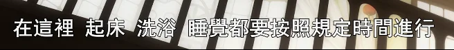 驾驶员自己啥都不用干