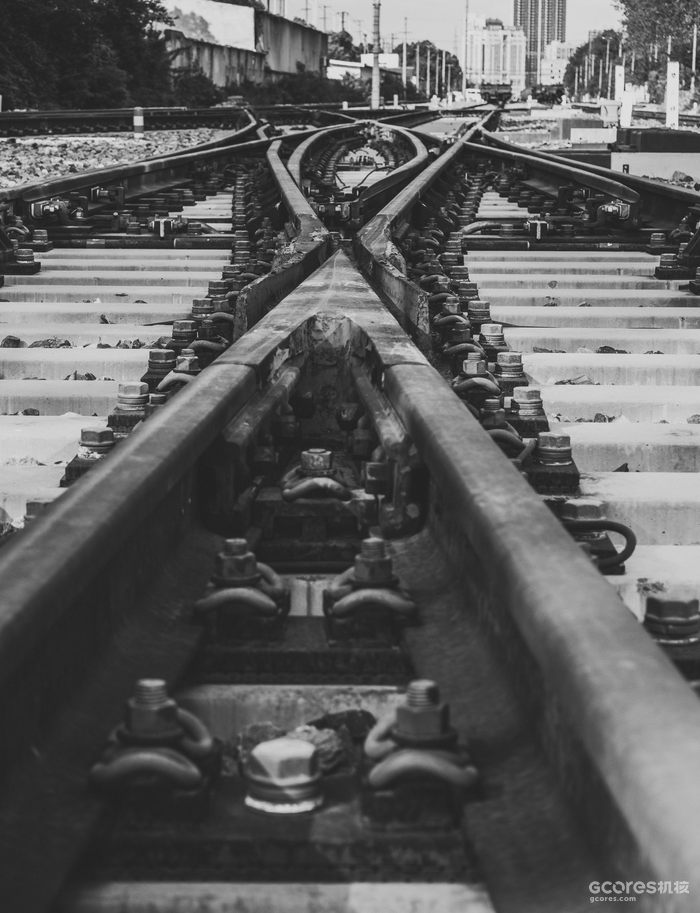 摄影分享丨这一年 摄影分享丨这一年