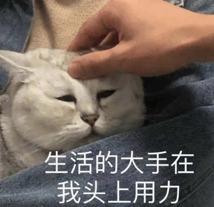 应该是复阳了，从爸妈家回来就感觉不太好，每天特别乏力，上周四媳妇带孩子去姥姥家住说趁下雨凉快逛逛公园... | 机组 | 机核 GCORES