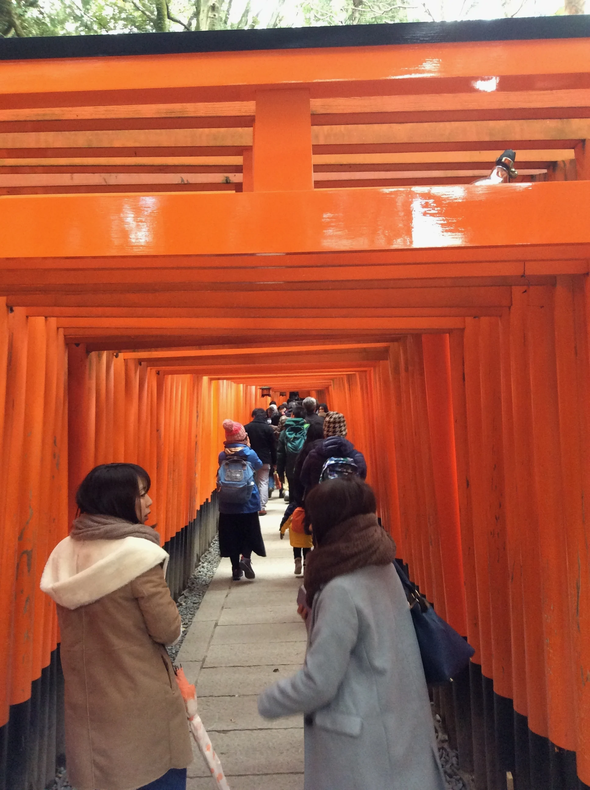 “千本鸟居”内