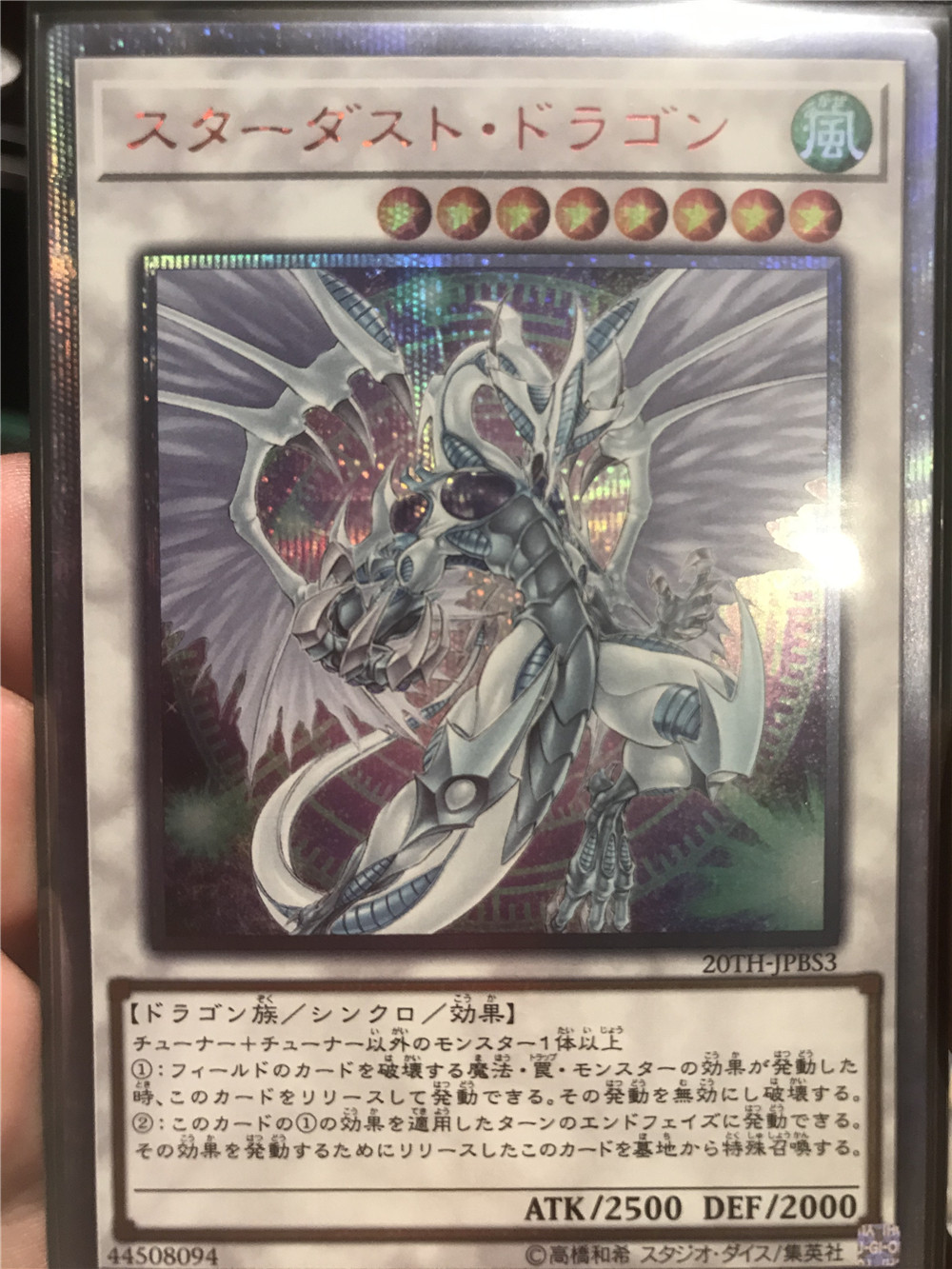 红碎星尘龙,虽然便宜但是我的最爱