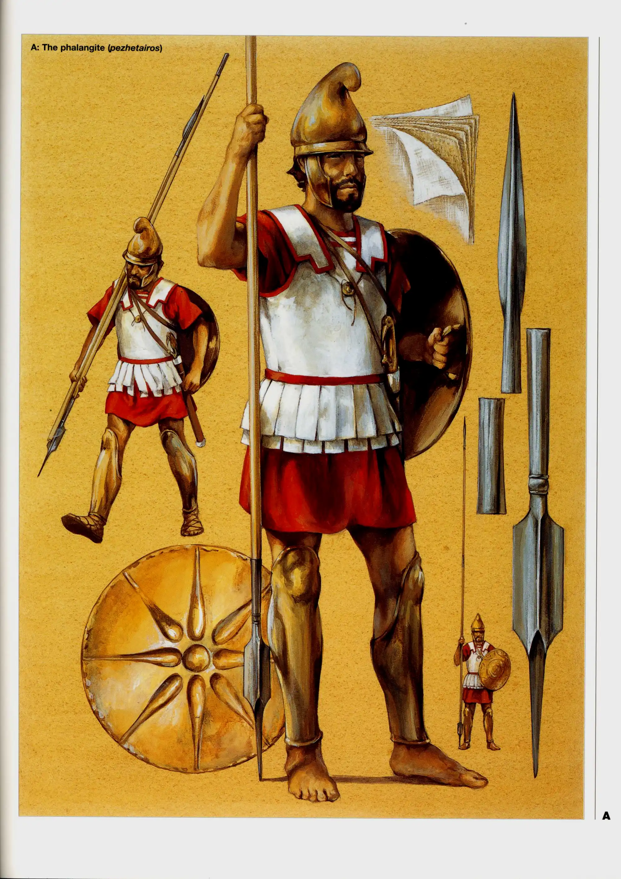 方阵步兵的主要装备，盾牌上的图案是维吉纳的太阳，马其顿的象征。长枪的枪头是铁的，枪尾则是青铜材质