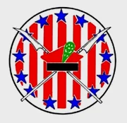 波兰第七航空队徽章