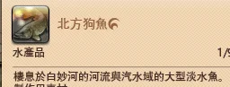 白妙河鱼类