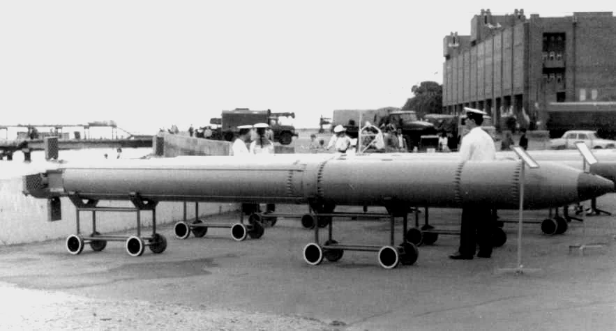 SS-N-15反潜导弹