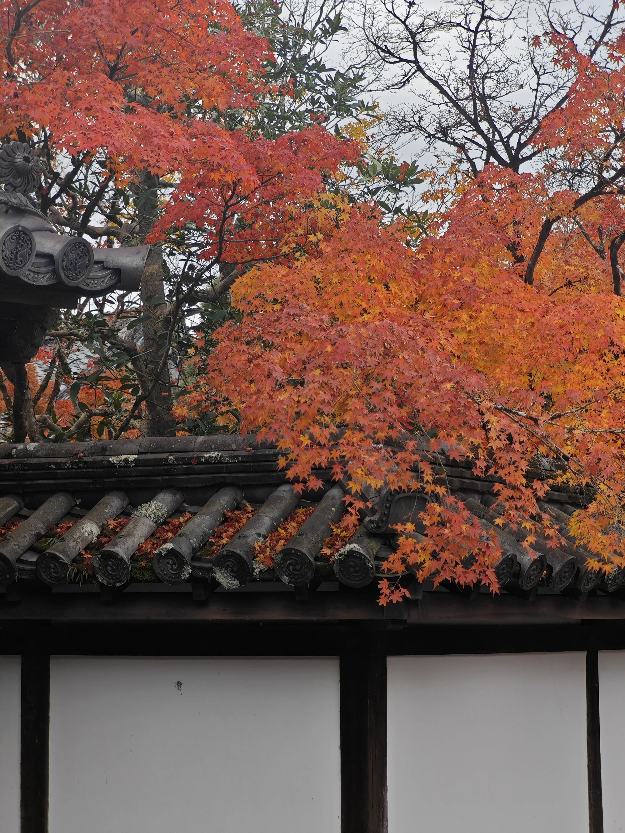 寺内一角