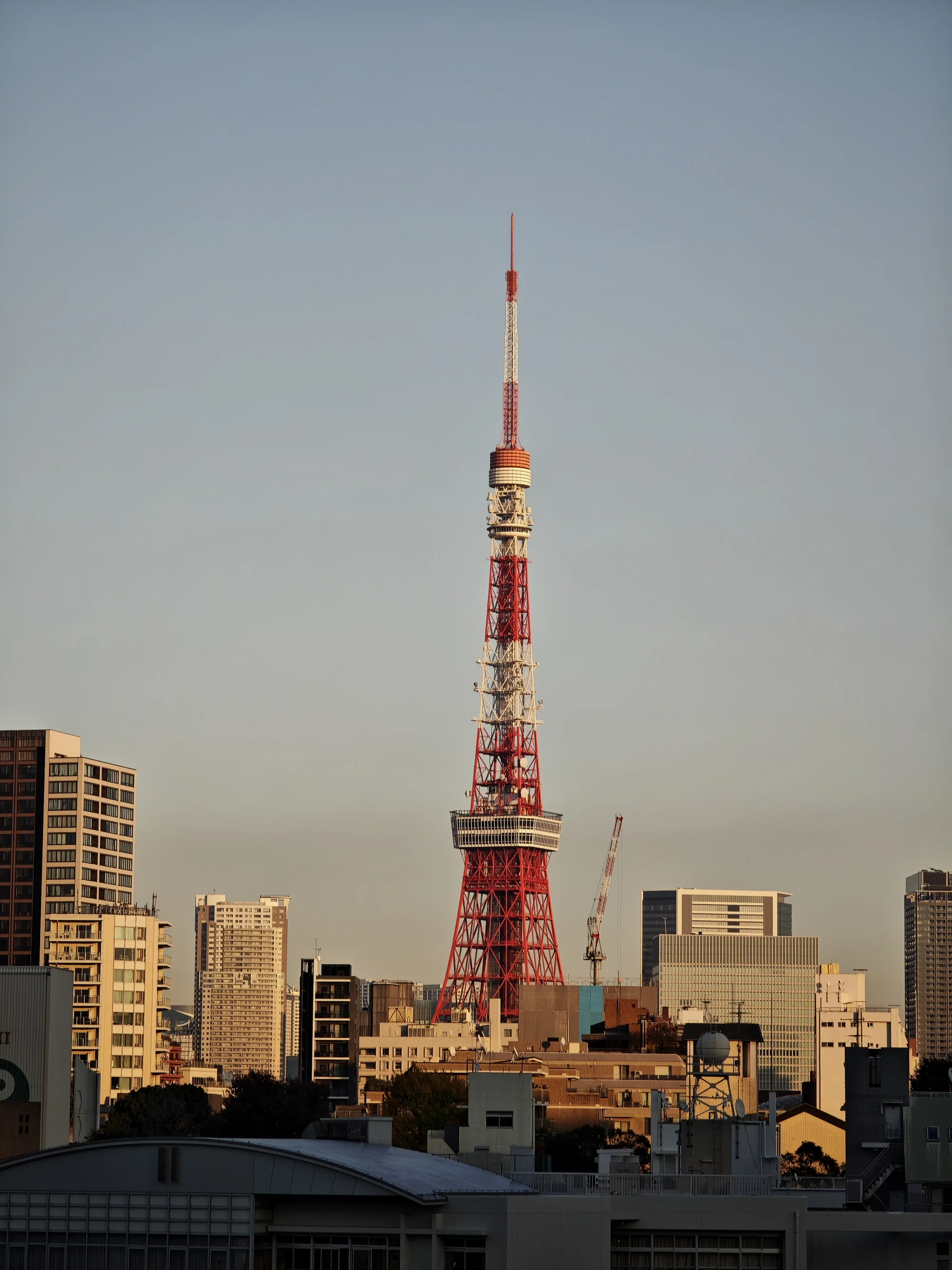 从六本们远眺东京塔